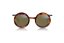 ZEPTER HYPERLIGHT EYEWEAR STELLAR HAVANA